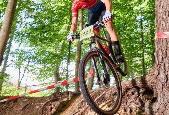 Mathias Lauringer