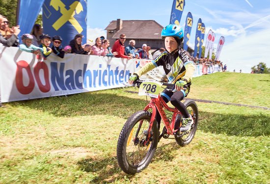 Mathias Lauringer