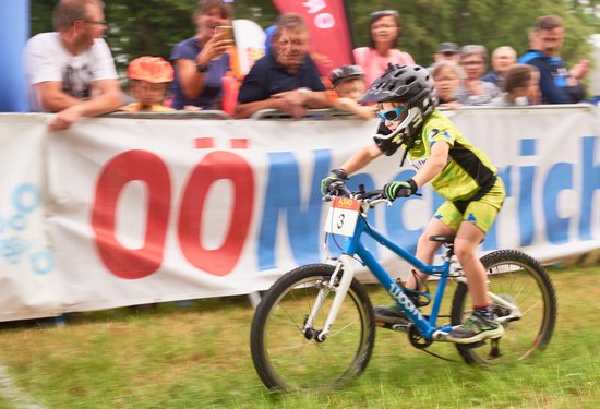 Mathias Lauringer