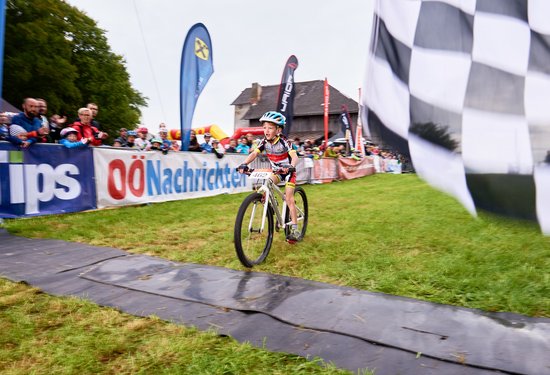 Mathias Lauringer