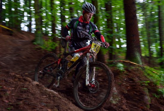 Mathias Lauringer
