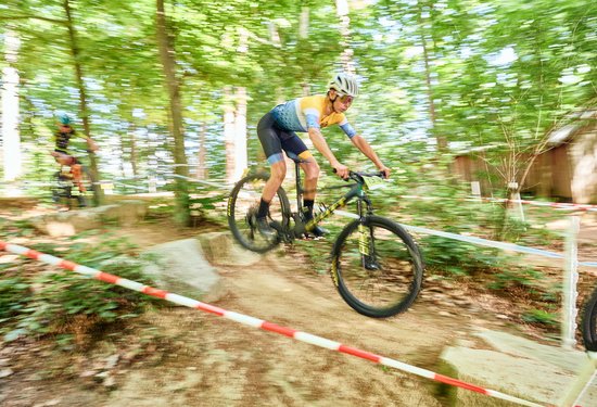 Mathias Lauringer