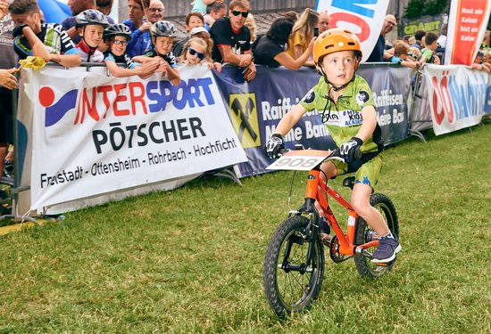 Mathias Lauringer