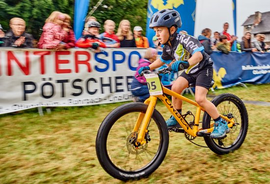 Mathias Lauringer