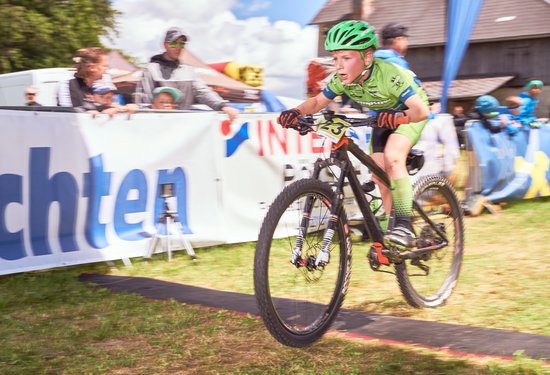 Mathias Lauringer