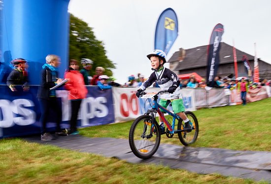 Mathias Lauringer