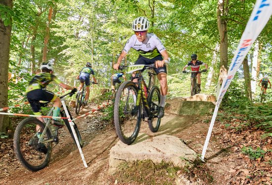 Mathias Lauringer