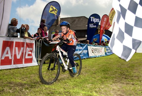 Mathias Lauringer