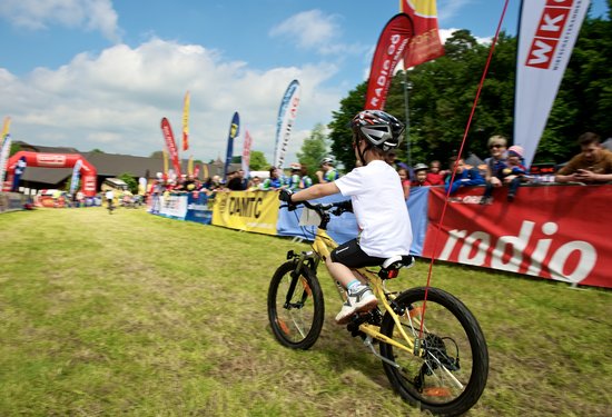 Mathias Lauringer