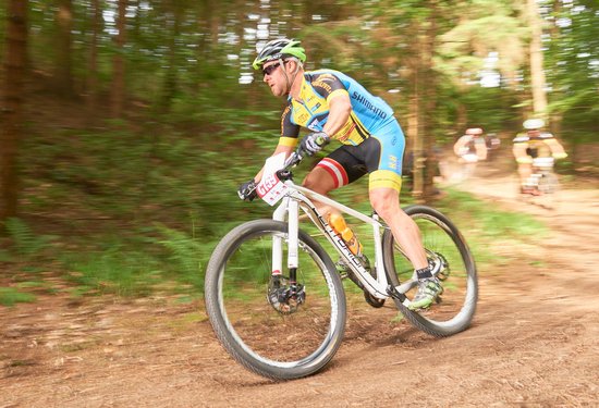 Mathias Lauringer