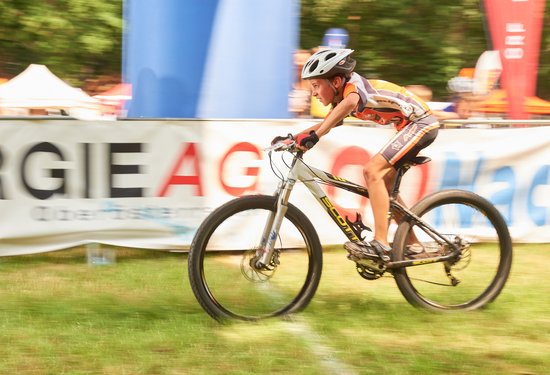 Mathias Lauringer