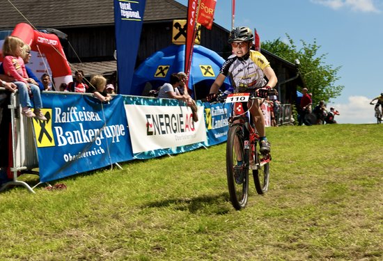 Mathias Lauringer