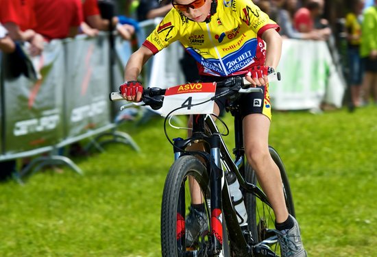 Mathias Lauringer