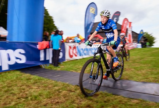 Mathias Lauringer
