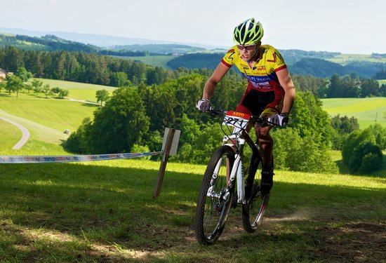 Mathias Lauringer