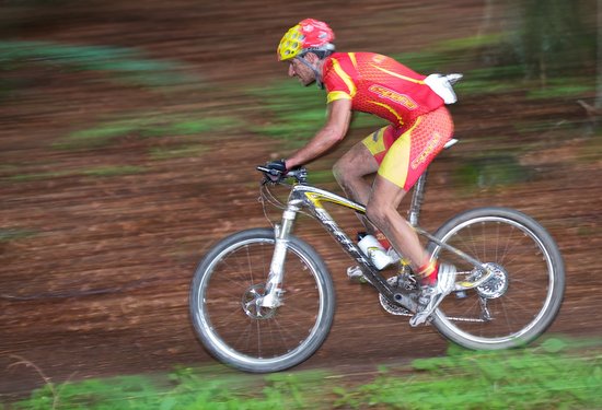 Mathias Lauringer