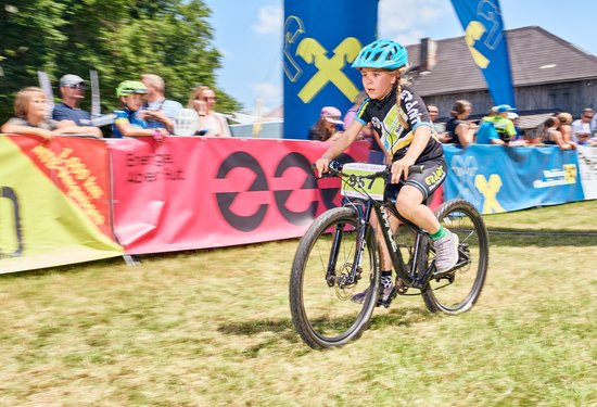 Mathias Lauringer