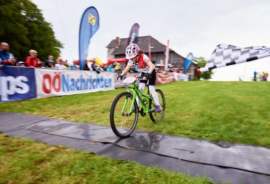 Mathias Lauringer