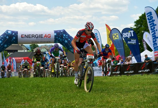 Mathias Lauringer