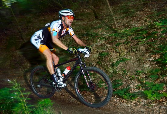 Mathias Lauringer