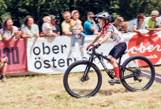 Mathias Lauringer