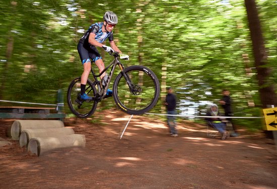 Mathias Lauringer