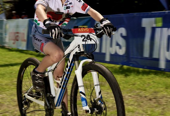 Mathias Lauringer