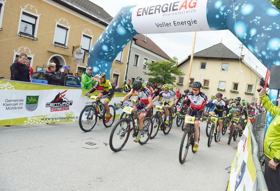 Mathias Lauringer