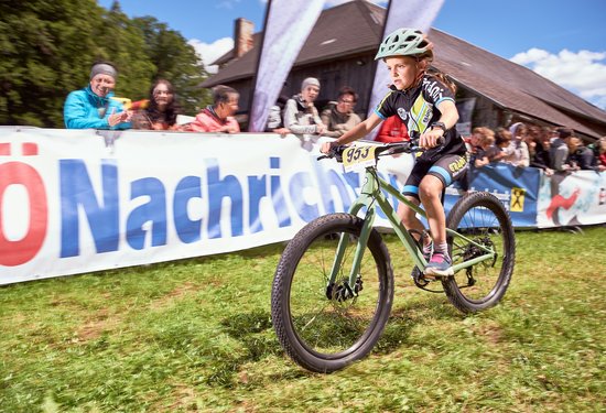 Mathias Lauringer