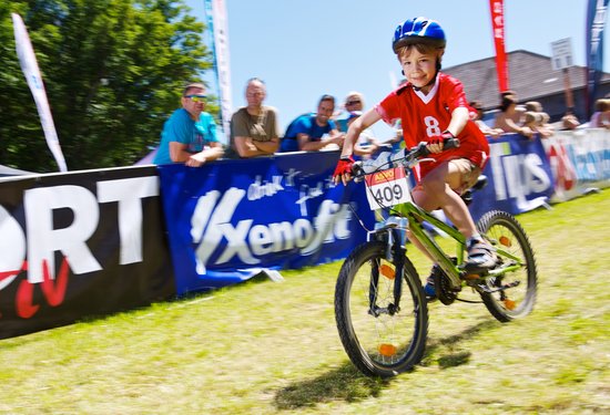 Mathias Lauringer