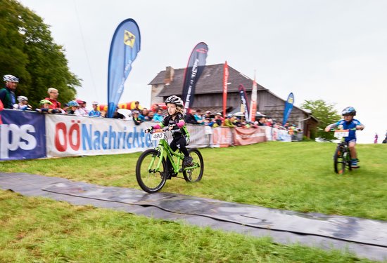 Mathias Lauringer