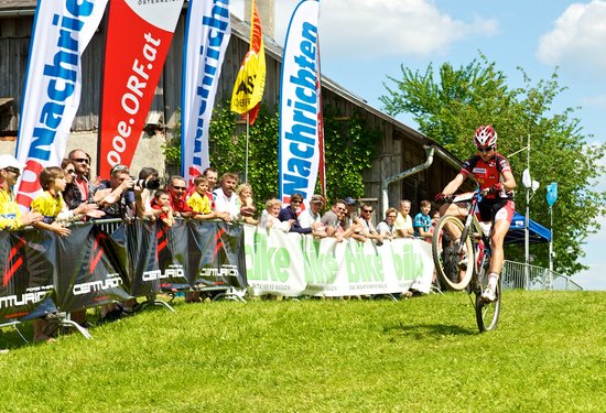 Mathias Lauringer