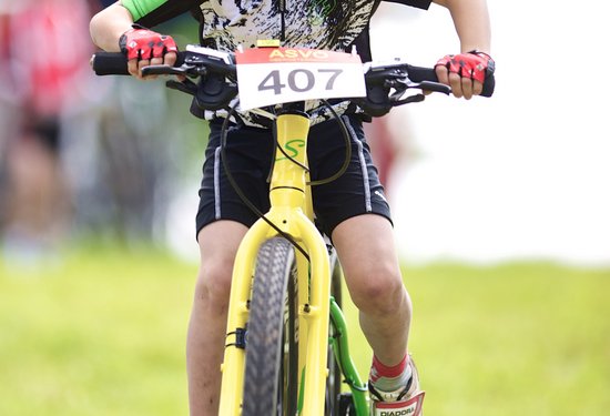 Mathias Lauringer