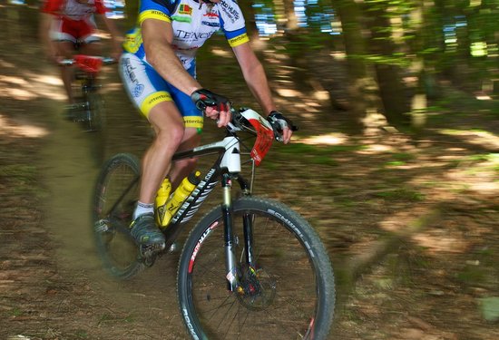 Mathias Lauringer
