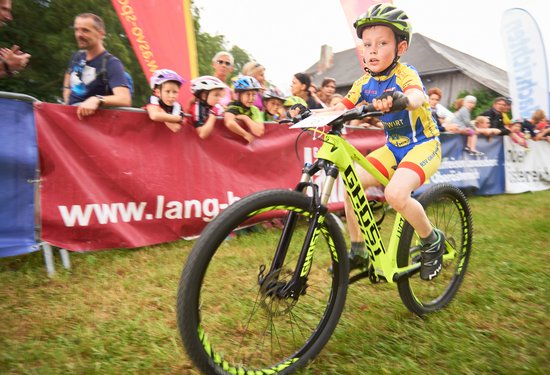 Mathias Lauringer