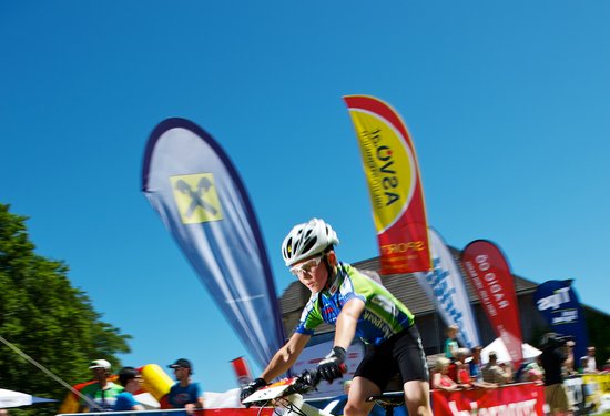 Mathias Lauringer