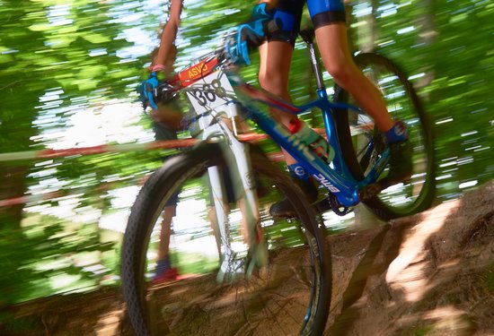 Mathias Lauringer