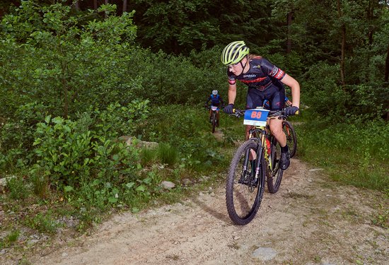 Mathias Lauringer