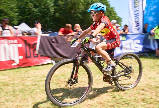 Mathias Lauringer