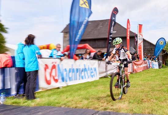 Mathias Lauringer