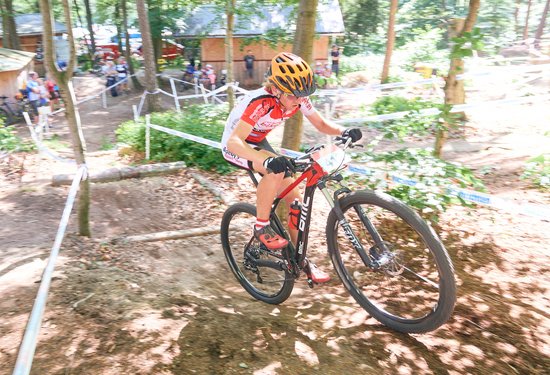 Mathias Lauringer