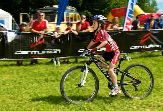 Mathias Lauringer