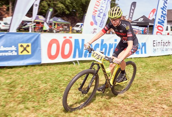 Mathias Lauringer