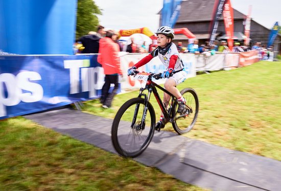 Mathias Lauringer