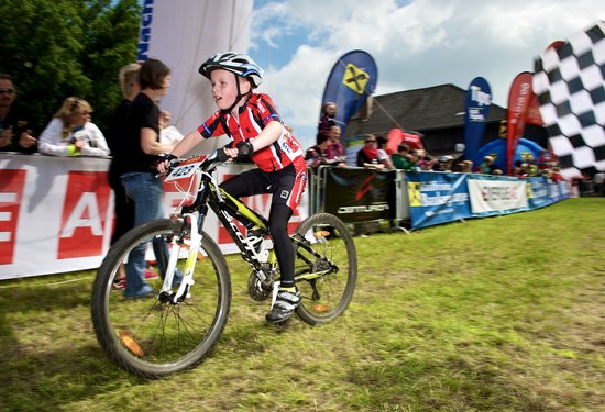 Mathias Lauringer