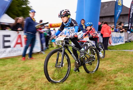 Mathias Lauringer