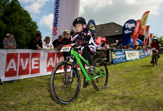 Mathias Lauringer