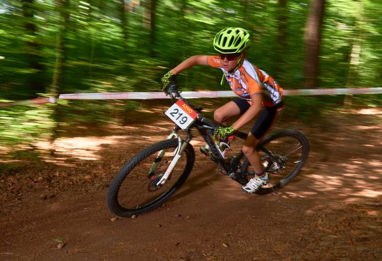 Mathias Lauringer