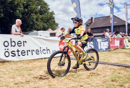 Mathias Lauringer