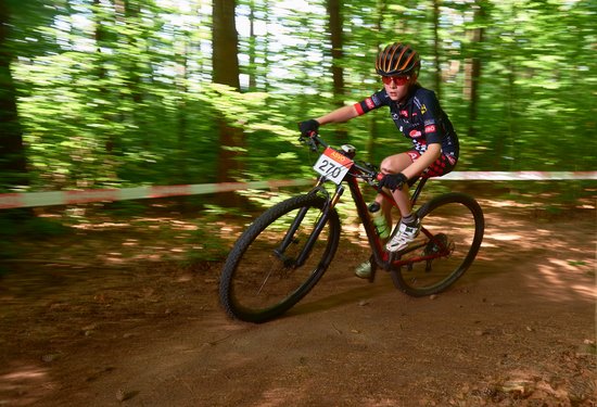Mathias Lauringer
